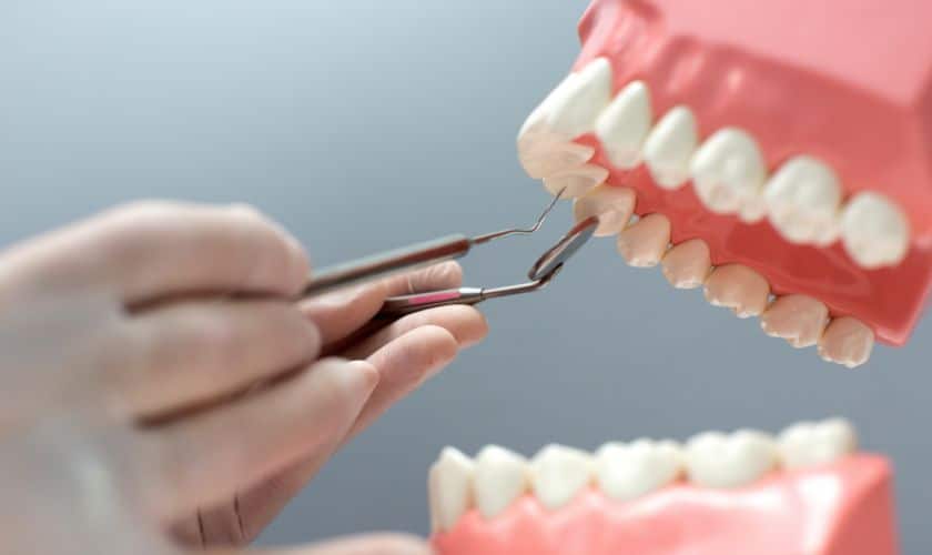 Teeth and gums in Ludington, MI