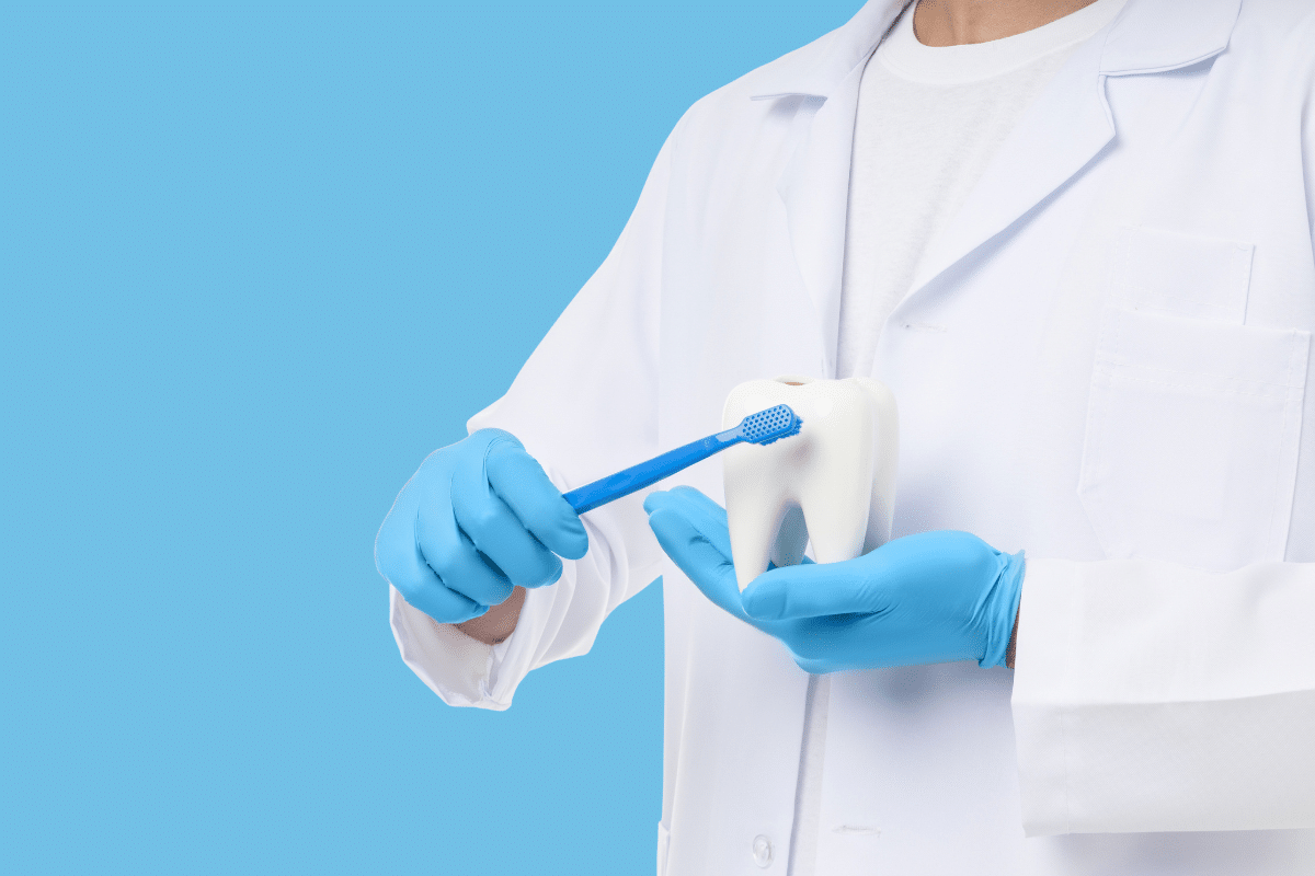 Proper Brushing and Flossing Techniques Dentists Recommend